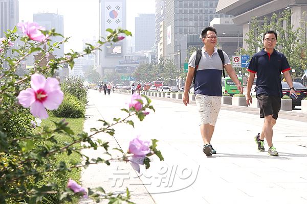 서울 광화문 광장 무궁화. 사진=최신혜 기자 shchoi@newsway.co.kr