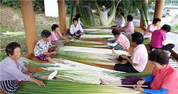 전남 함평군 용월리 외세마을 주민들이 시원한 정자에 모여 왕골 박피작업을 하고 있다.