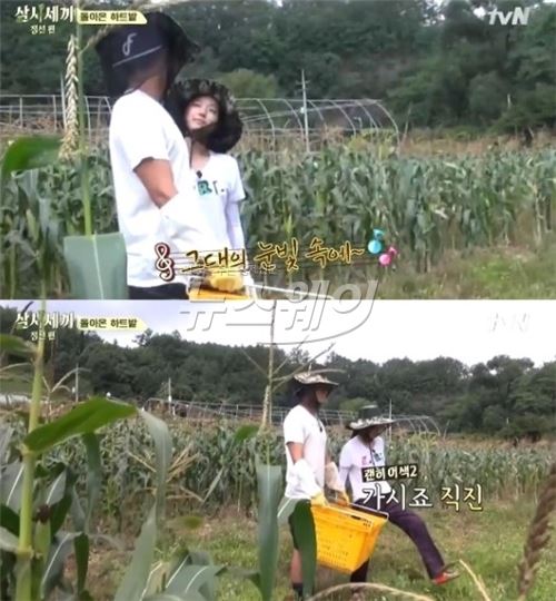 ‘삼시세끼’ 옥택연-박신혜, ‘옥수수 하트밭’ 로맨스 다시 시작되나? 기사의 사진