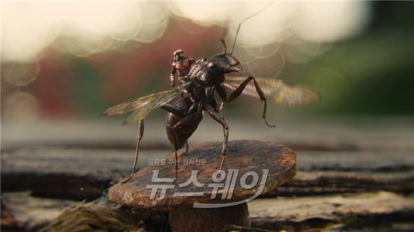 ‘앤트맨’, 제대로 즐겨보려면 ‘월드타워 수퍼4D’로 꼭 관람 기사의 사진