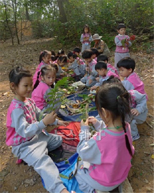 광주광역시 서구청, “창작 놀이터, 백마산 생태습지 호응” 기사의 사진