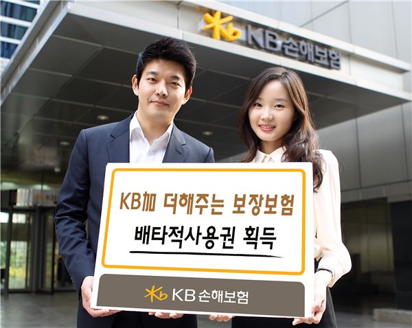 사진=KB손보