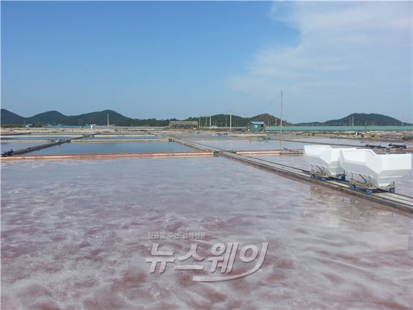 황토 자기판을 바닥에 깐 ‘신의도 6형제 소금밭' 모습<br />

