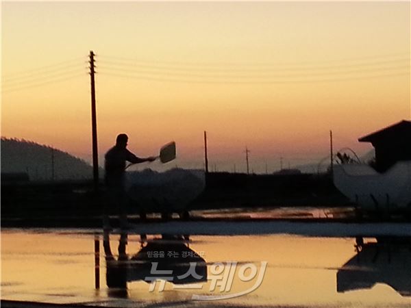  ‘신의도 6형제 소금밭' 에 노을이 지고 있다.