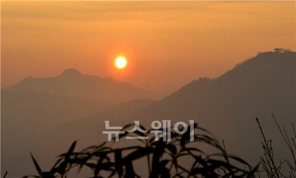담양군 죽녹원에서 바라다본 ‘새해’ 기사의 사진