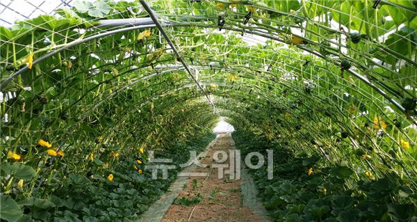 곡성군, 귀농·귀촌 영농정착 지원사업 신청 접수 기사의 사진