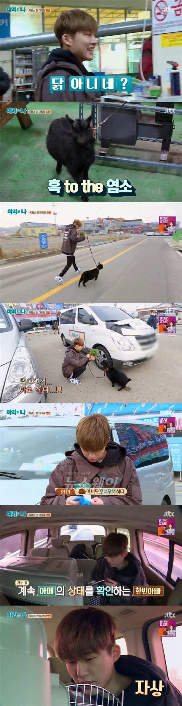 사진 = JTBC ‘마리와나’ 영상캡쳐
