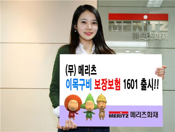 사진=메리츠화재