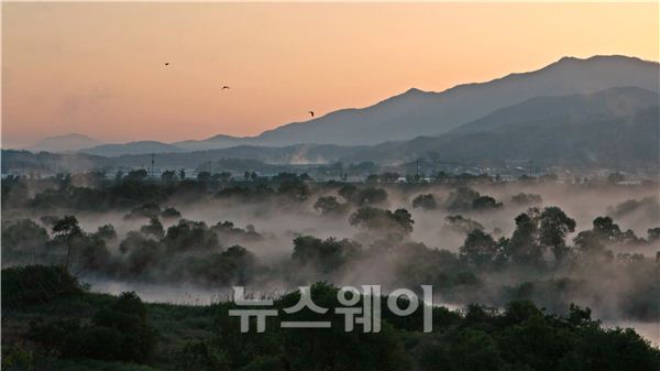 습지의 보고 곡성군, 국가습지 보호지역 지정 추진 기사의 사진