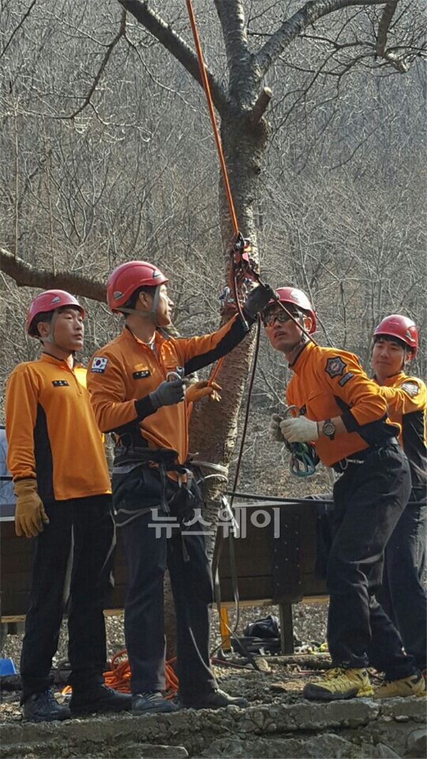 담양소방서(서장 김도연)는 지난 25일과 28, 29일 3일간 담양군 용면 치재산 가마골생태공원 일원에서 119구조대원 13명이 참여한 가운데 산악사고대비 인명구조 훈련을 실시했다.<br />
