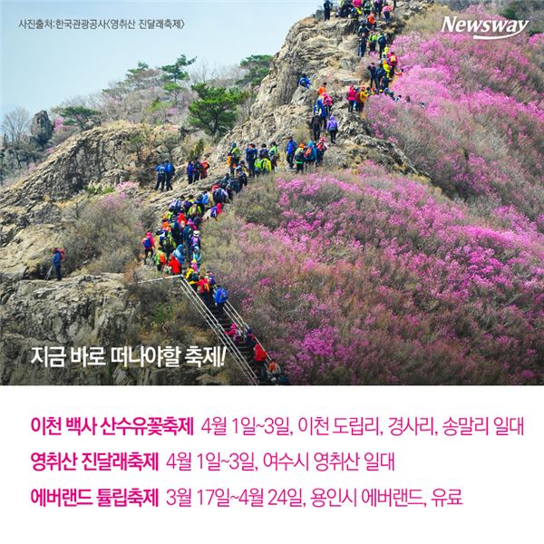 봄 알리미 ‘봄꽃축제’ 총정리···‘드루와 드루와’ 기사의 사진