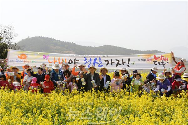 청산도 슬로걷기 축제... “나비야 청산가자” 기사의 사진