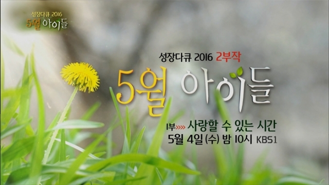 KBS, 성장다큐 ´5월, 아이들´ 방송···송혜교 내레이션