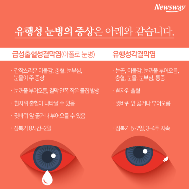  아폴로 눈병 35% 급증 ‘눈 비비지 마세요’ 기사의 사진