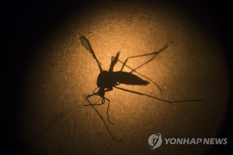 국내 4번째 지카바이러스 감염자 발생