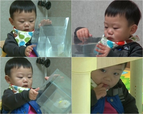 ‘슈퍼맨이 돌아왔다’ 대박, 바나나 향한 애착에 이동국 화들짝