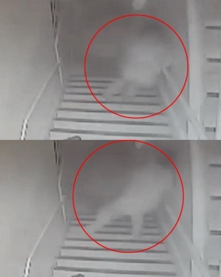 ‘강남역 묻지마’ 살인 사건 CCTV 공개···피해자 남자친구 발버둥치며 ‘오열’