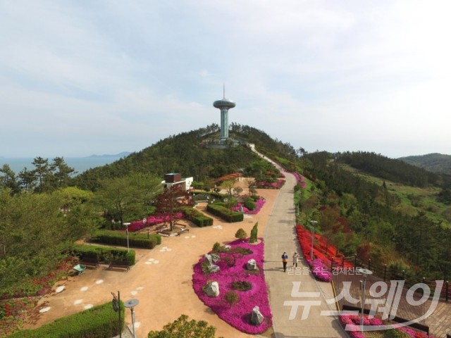완도타워 전경