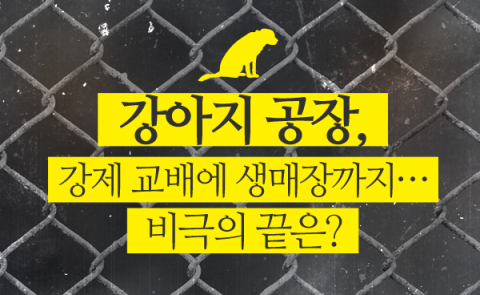  강아지 공장, 강제 교배에 생매장까지···비극의 끝은?