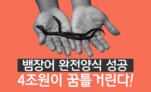  뱀장어 완전양식 성공 ‘4조원이 꿈틀거린다!’