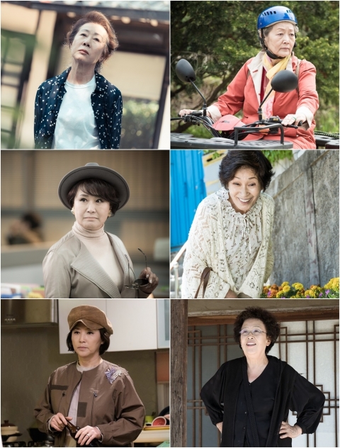 ‘디어 마이 프렌즈’ 6인 女시니어들, 감탄 부르는 걸크러쉬 매력