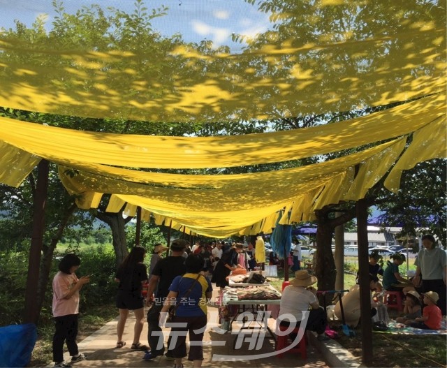 곡성 뚝방마켓 가능성이 엿보인다. 기사의 사진