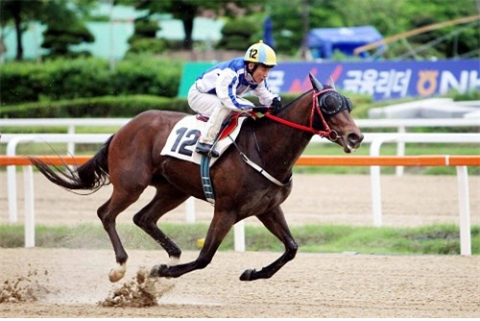 “경주마의 전설 ‘터프윈’ 만나러 장수목장 오세요”