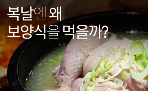  복날엔 왜 보양식을 먹을까?