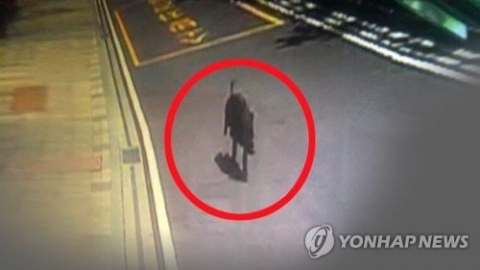 부산 도심에 멧돼지 2마리 출몰