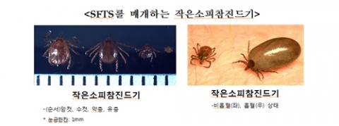 ‘야생진드기’ 환자 증가, 사망자 올해만 5명···전년比 15% 늘어