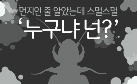  ‘먼지인 줄 알았는데 스멀스멀’ 먼지다듬이···누구냐 넌?