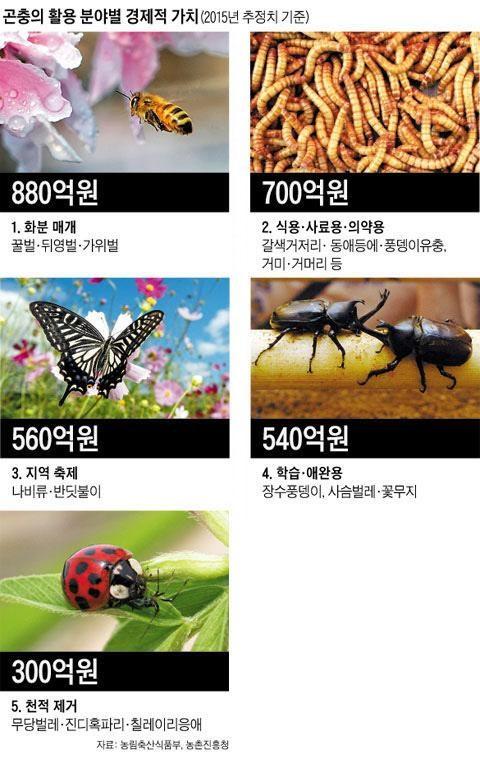 곤충의경제적가치 도표