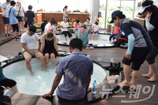더위를 식히기 위해 관광객들이 수상유리온실 1층에서 닥터피쉬 체험을 하고 있다.