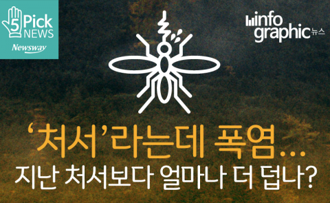  ‘처서’라는데 폭염···지난 처서보다 얼마나 더 덥나?