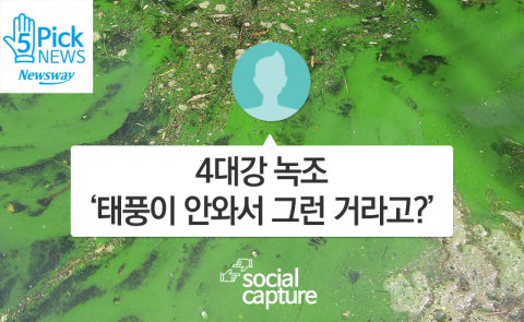  4대강 녹조 ‘태풍이 안와서 그런 거라고?’