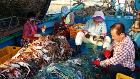 “바다향기 가득한 가을 꽃게로 원기회복 하세요”