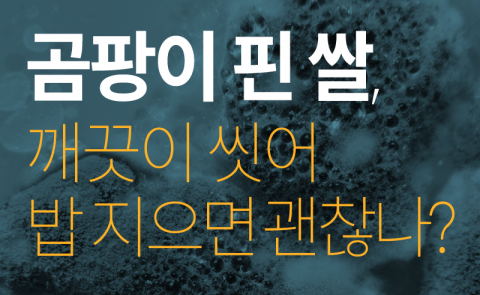  곰팡이 핀 쌀, 깨끗이 씻어 밥 지으면 괜찮나?