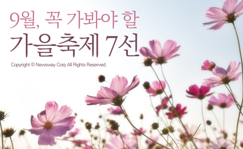  9월, 꼭 가봐야 할 가을축제 7선