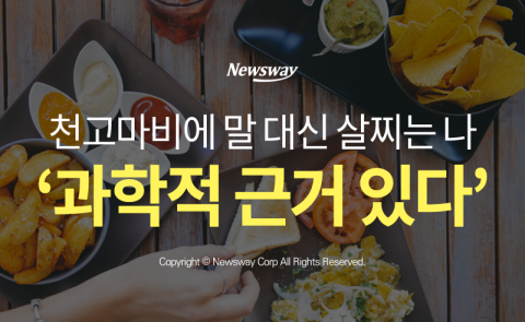  천고마비에 말 대신 살찌는 나 ‘과학적 근거 있다’