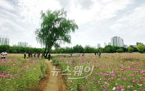 전국 맑고 큰 일교차···수도권·충남 미세먼지 ‘나쁨’