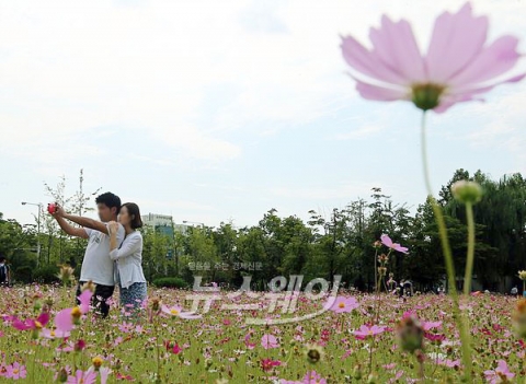  추분(秋分), 선선해진 ‘가을’ 느낄 수 있어···큰 일교차 ‘유의’