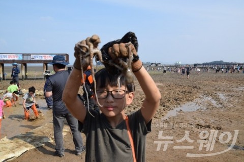 무안황토갯벌축제, 갯벌 체험 호응속 '성료'