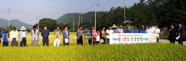 고흥군이 23일 ‘저비용 고품질 쌀 종합평가회 현장컨설팅’을 개최하고 있다.