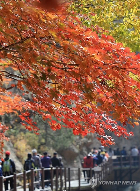 오늘(26일), 설악산 첫 단풍···“2주 뒤 절정”