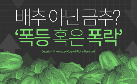  배추 아닌 금추? ‘폭등 혹은 폭락’ 막을 순 없나