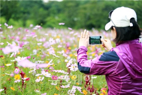  전국 대체로 흐리고 곳곳에 비···아침 기온 ‘뚝’ 떨어져