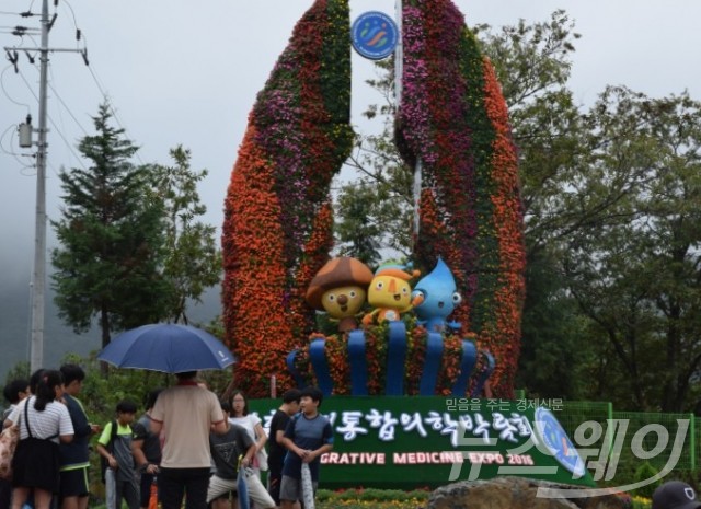 장흥국제통합의학박람회, 30일 9만여 명 몰려...흥행 대박 조짐 기사의 사진