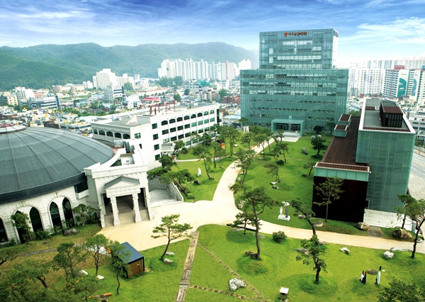 대구보건대 수시 1차 경쟁률 평균 7대 1 기록