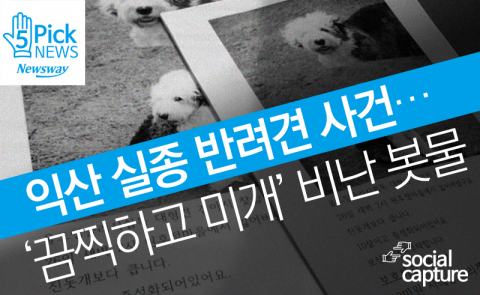  익산 실종 반려견 사건···‘끔찍하고 미개’ 비난 봇물
