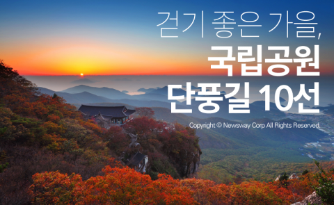  걷기 좋은 가을, 국립공원 단풍길 10선